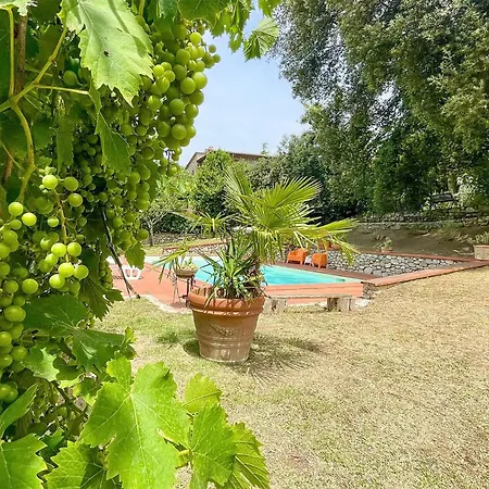 Gorgeous In With Wifi *